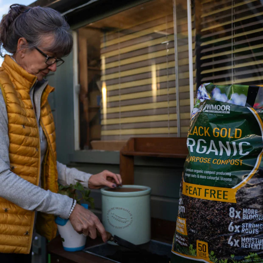 An older lady scoops Growmoor Black Gold Organic compost into a pot with a gardening trowel