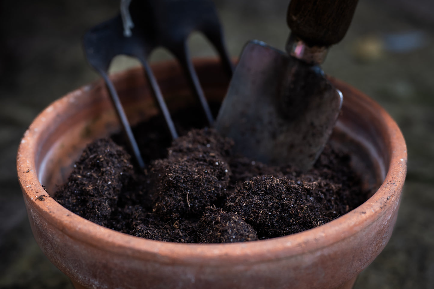What Are the Best Worms for Vermicomposting?