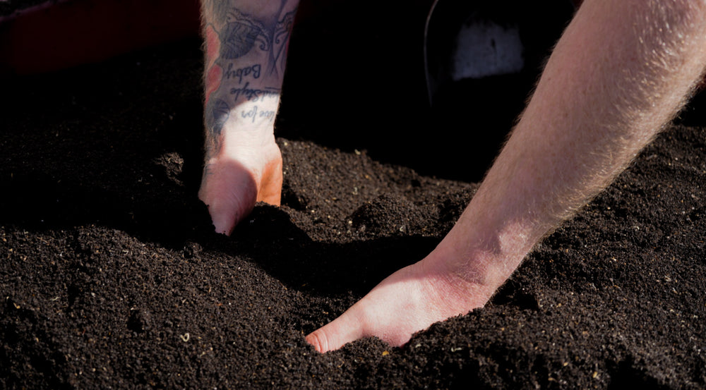 
                      
                        Urban Wyrm - Peat-Free Black Gold Organic All Purpose Compost 50 Litre
                      
                    