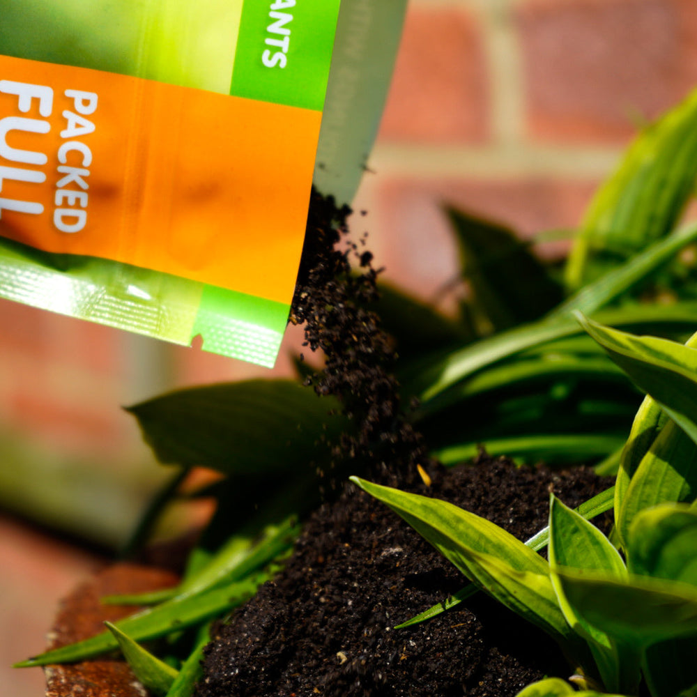 
                      
                        Urban Wyrm Worm Casts 5 Litre (+2 litres free fill) Carry Bag
                      
                    